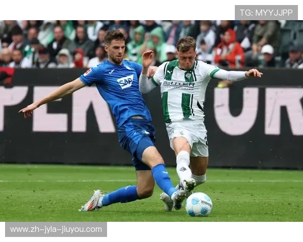 德甲球队高清模板图片及视觉设计展示 德甲球队高清模板图片及视觉设计展示