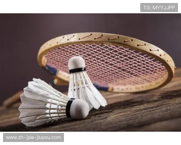 羽毛球护肘选择